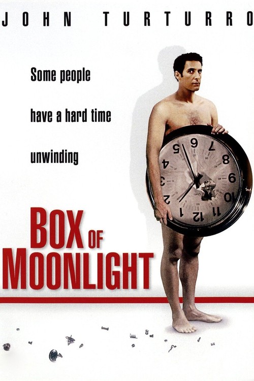 Box of Moonlight poster