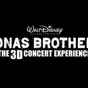 JONAS BROTHERS: THE 3D CONCERT EXPERIENCE photo 10