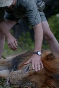 Watch trailer for Trophy