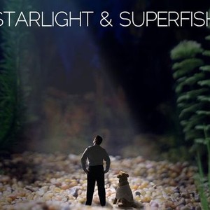 Starlight & Superfish photo 1