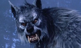 Van Helsing: Official Clip - Werewolf on the Loose