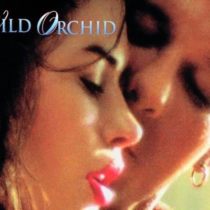 Wild Orchid photo 6