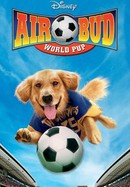 Air Bud: World Pup poster image