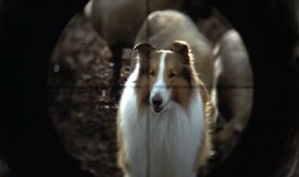 Lassie (1994 Movie)  ChucksConnection Film Review