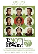 I Am Not Madame Bovary poster image