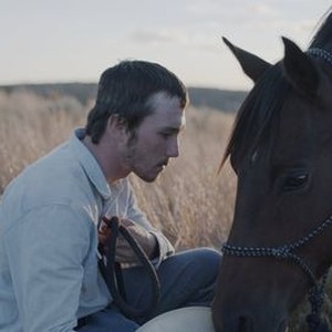 The Rider - Rotten Tomatoes