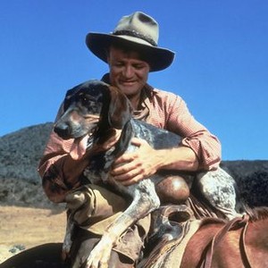 Savage Sam (1963)