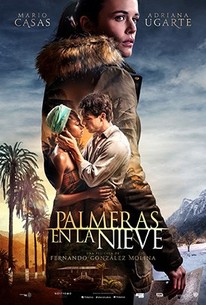 Palm Trees in the Snow poster