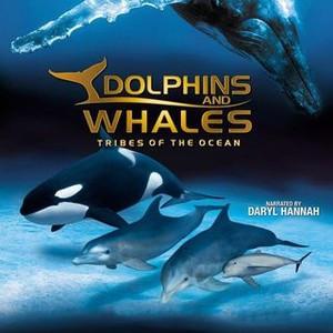 Dolphins and Whales: Tribes of the Ocean (2008) photo 1