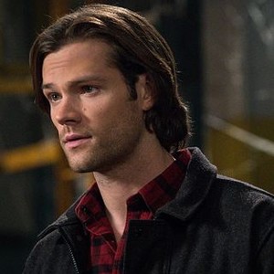 Jared Padalecki - Rotten Tomatoes