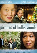 Pictures of Hollis Woods poster image