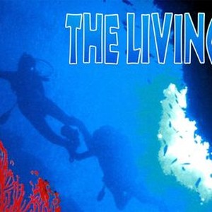 The Living Sea photo 4