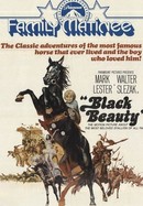 Black Beauty poster image
