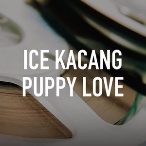 Ice Kacang Puppy Love photo 2