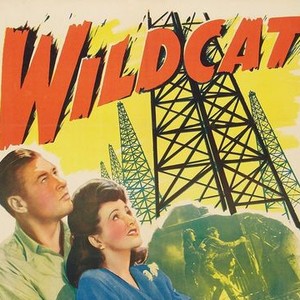 Wildcat photo 5