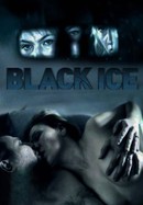 Black Ice poster image