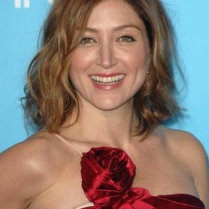Sasha Alexander at arrivals for Los Angeles Premiere of YES MAN, Mann Village Theatre, Los Angeles, CA, December 17, 2008. Photo by: Dee Cercone/Everett Collection