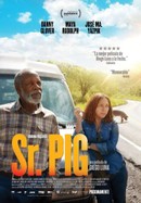 Mr. Pig poster image