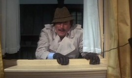 Trail of the Pink Panther: Official Clip - Out the Window photo 5