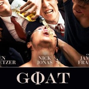 Goat photo 17