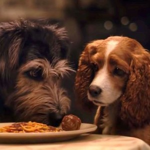 Lady and the tramp on sale 2019 full movie online