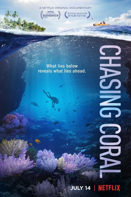 Chasing Coral poster