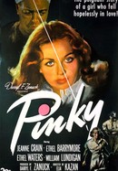 Pinky poster image