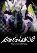 Evangelion: 3.33 You Can (Not) Redo poster image