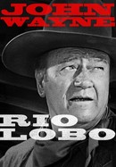 Rio Lobo poster image
