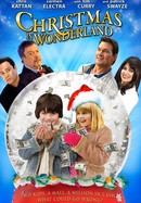 Christmas in Wonderland poster image
