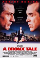 A Bronx Tale poster image