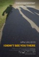 I Didn't See You There