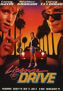 License to Drive poster image