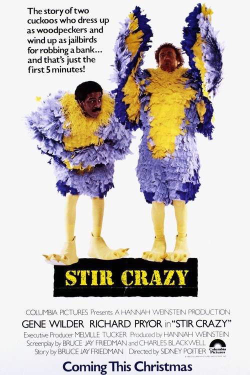 Stir Crazy poster