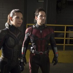 Ant-Man and the Wasp' Officially Certified Fresh on Rotten Tomatoes