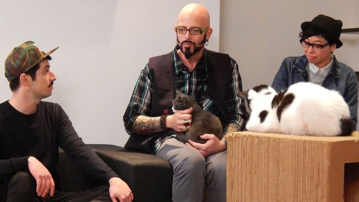 My cat from hell season 7 episode 5 watch online 2025