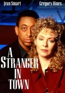 A Stranger in Town poster image