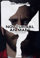 Nocturnal Animals poster image