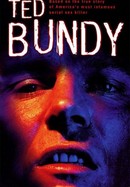Ted Bundy poster image