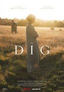 The Dig poster image