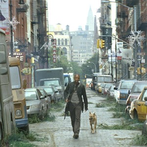 A scene from the film "I Am Legend." photo 18