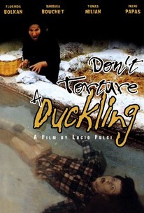 Don't Torture a Duckling poster