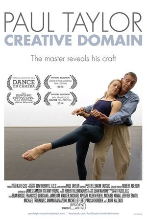 Paul Taylor: Creative Domain poster
