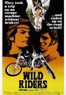 Wild Riders poster image