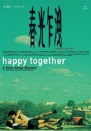 Happy Together poster image