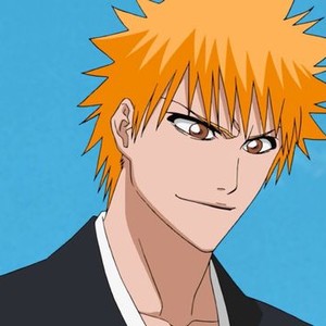 Bleach Memories Of Nobody Rotten Tomatoes