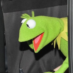 The Muppets photo 8