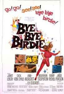 Watch trailer for Bye Bye Birdie