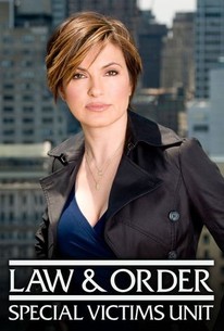 Law & Order: Special Victims Unit: Season 9 poster image