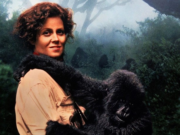Gorillas In The Mist Sigourney Weaver